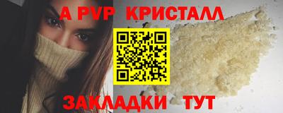 стафф Ставрополь