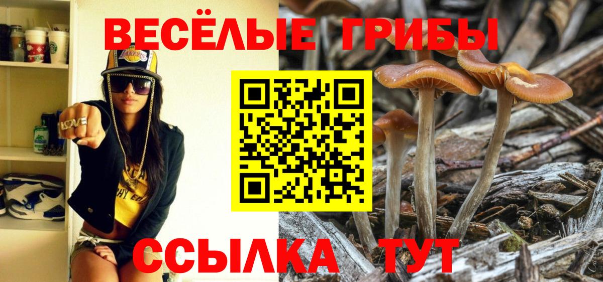 Ноябрьск  Псилоцибиновые грибы ЛСД  Вход с VPN 