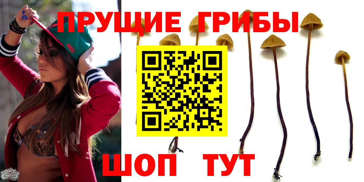 Галлюциногенные грибы мицелий Ноябрьск